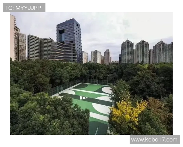 徐家汇篮球公园是否免费开放及相关设施使用情况详解